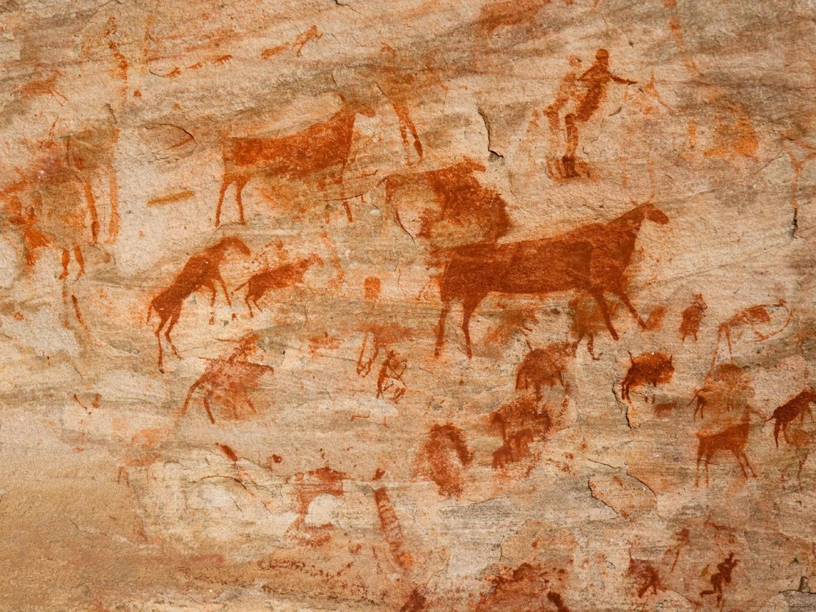 Pinturas rupestres.
