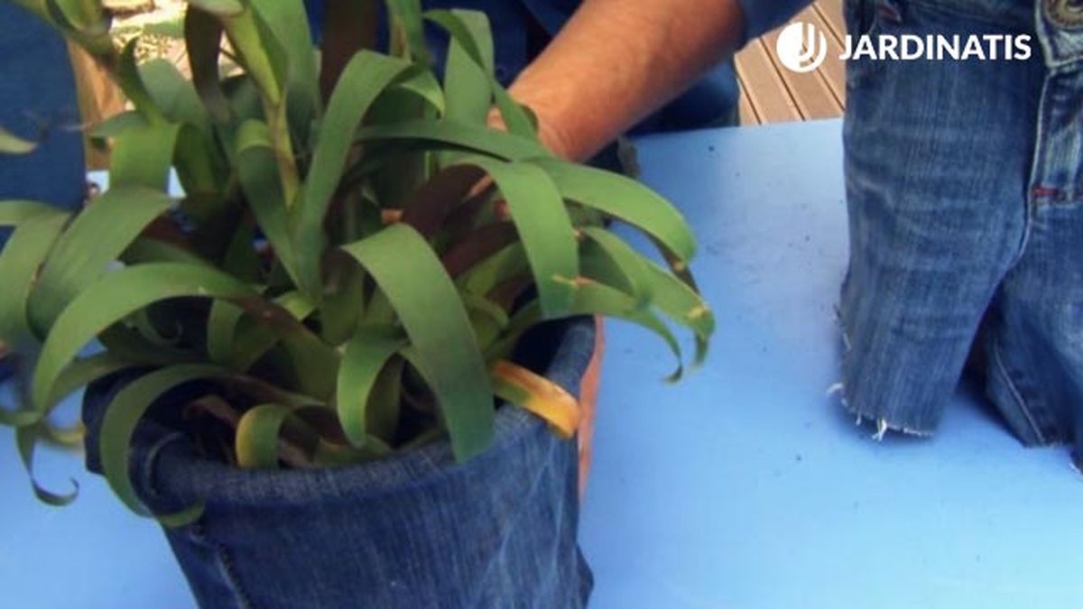 como forrar tiestos con tela vaquera paso 5 brico 831 jardin