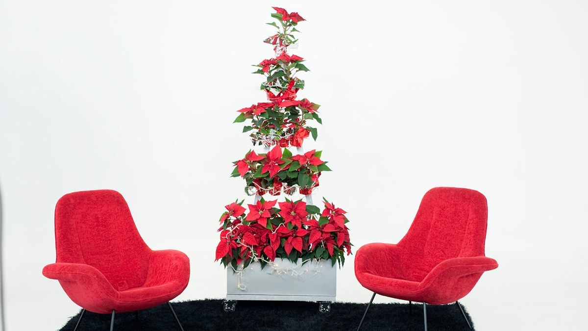 Abeto jardinera de bricomanía