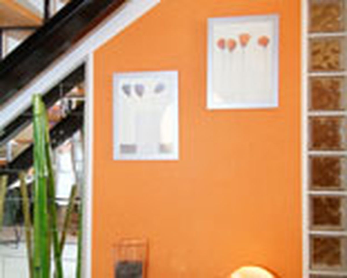 541 Colocar papel pintado vinilico p11