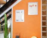 541 Colocar papel pintado vinilico p11