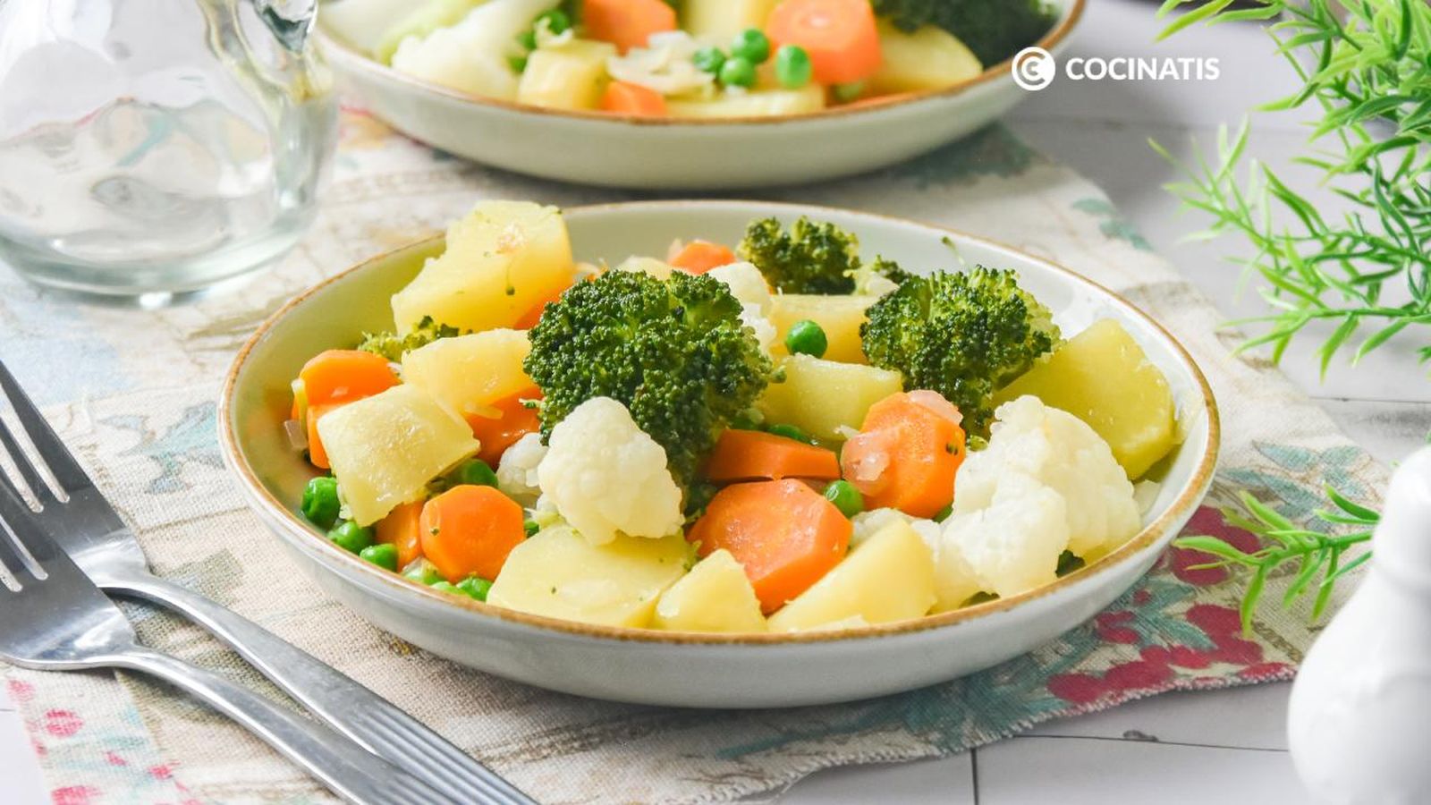 Panaché de verduras