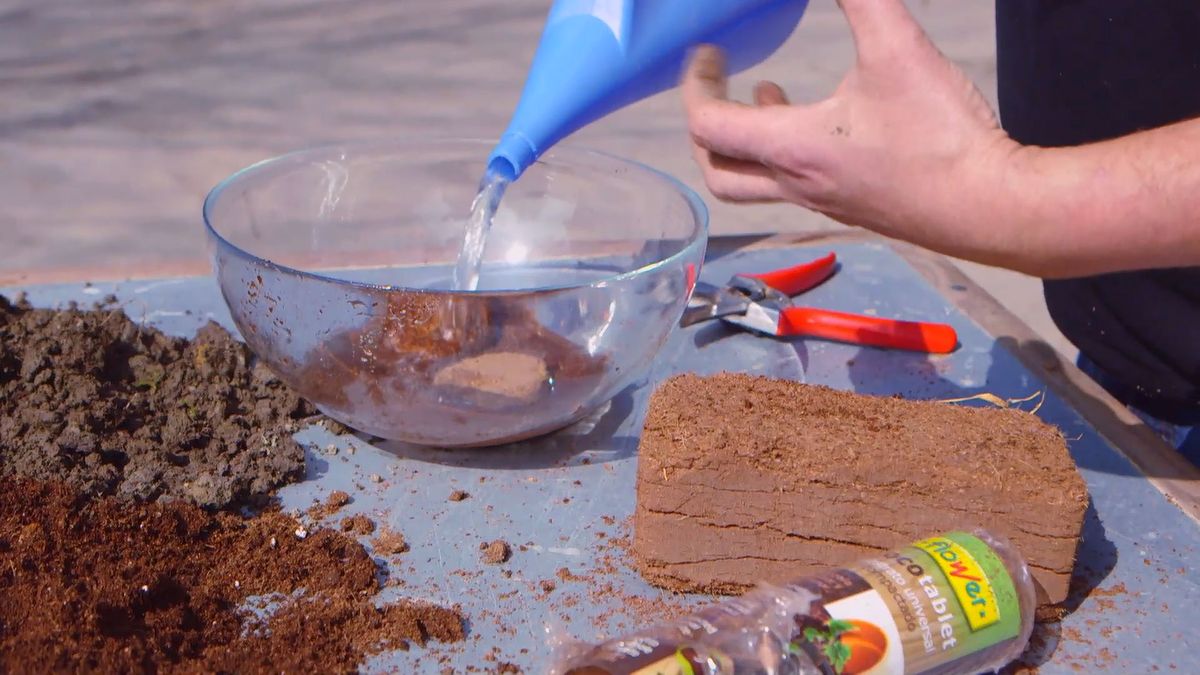 brico 0910 3 sanear olivo fibra coco