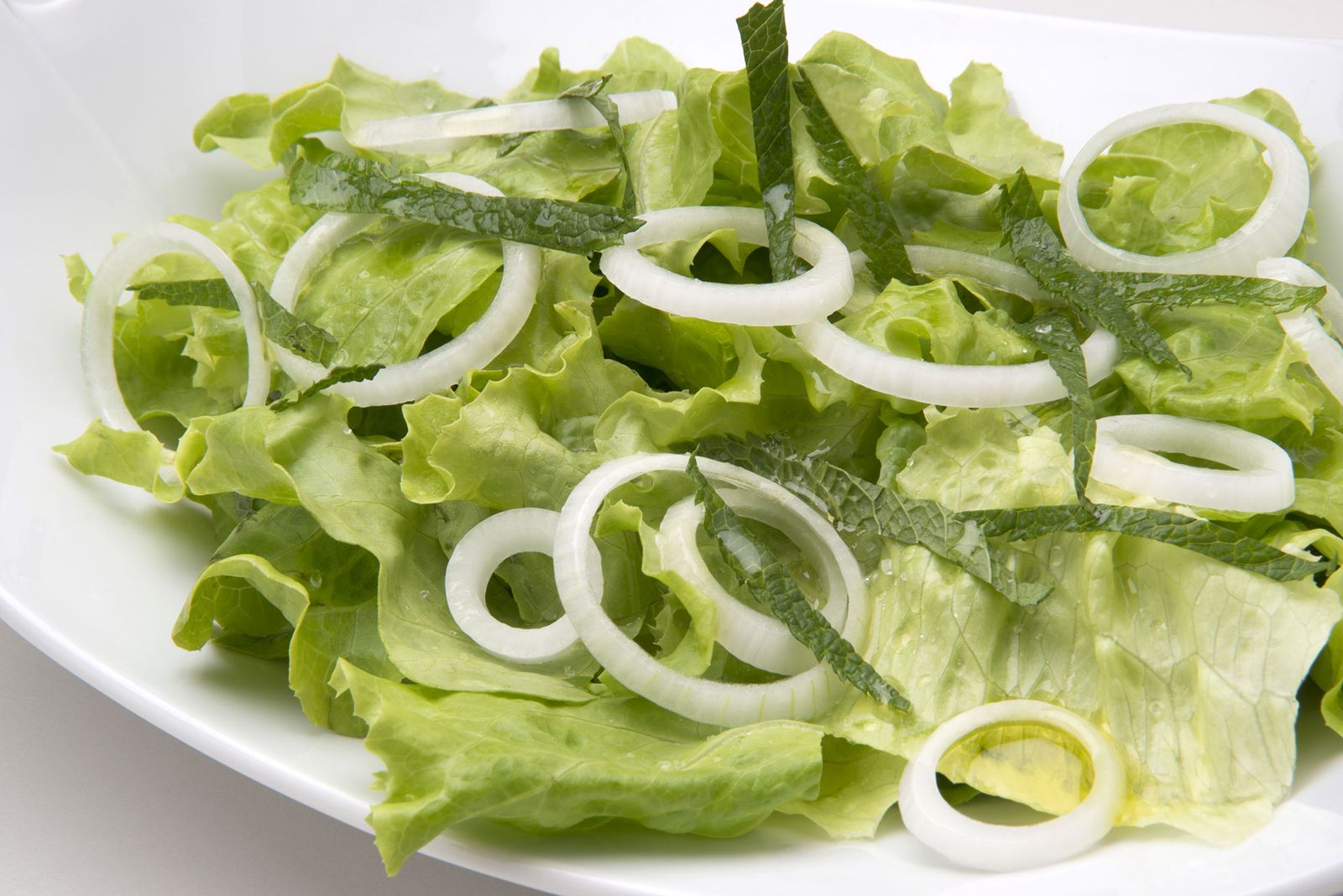 5799 2 Ensalada de lechuga, menta y cebolleta xl