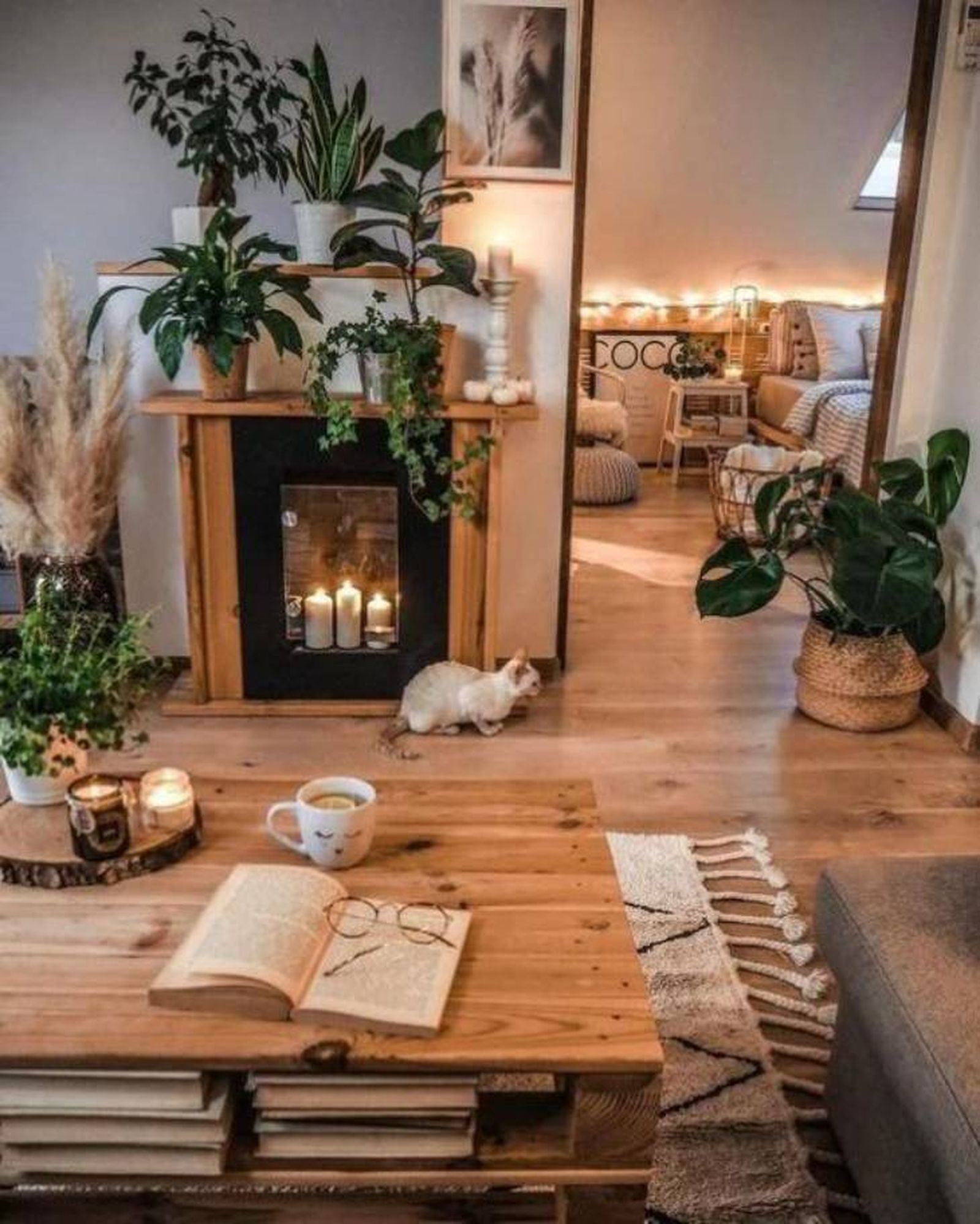 salon feng shui pinterest okchicas