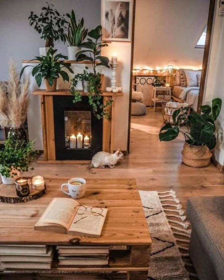 salon feng shui pinterest okchicas