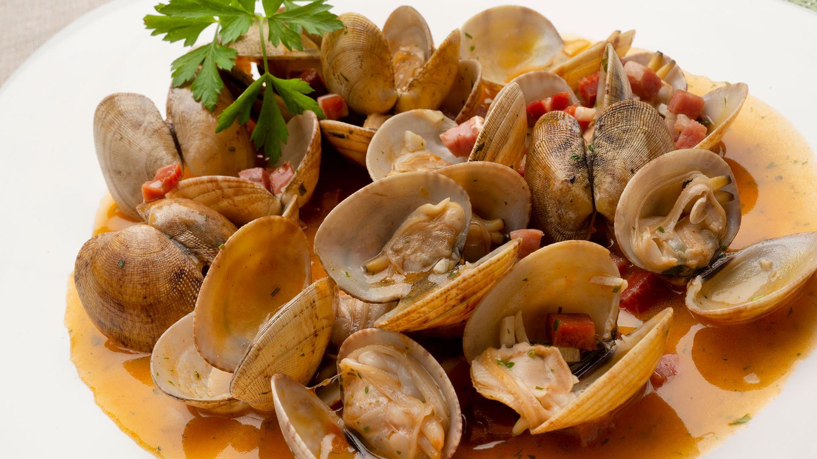 almejas sanluquena a3