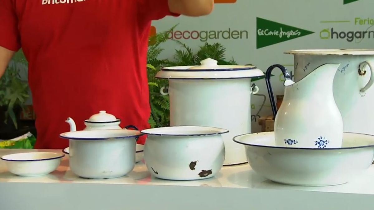 como cultivar helechos en casa recipientes