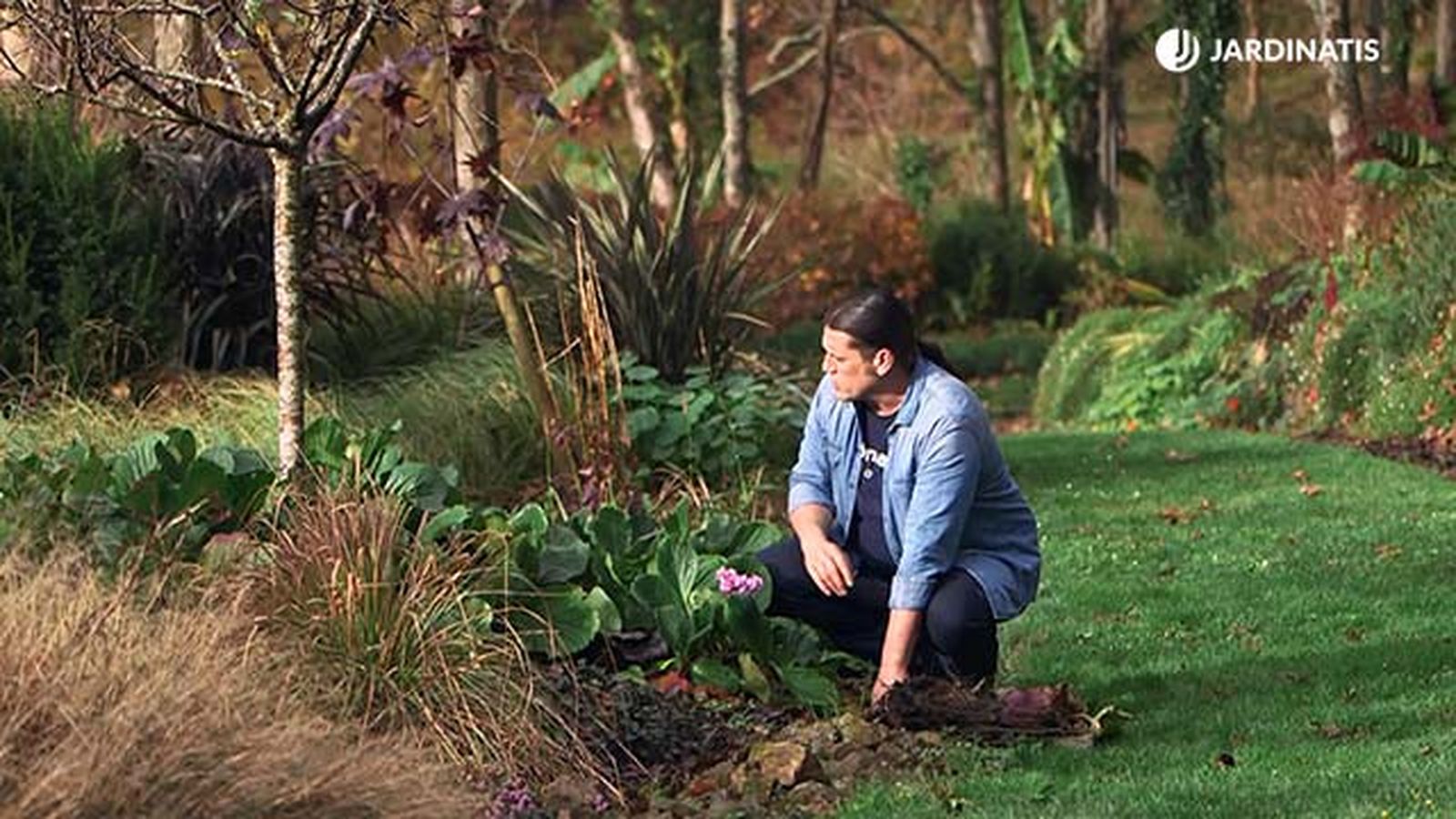 971 jardineria briconsulta