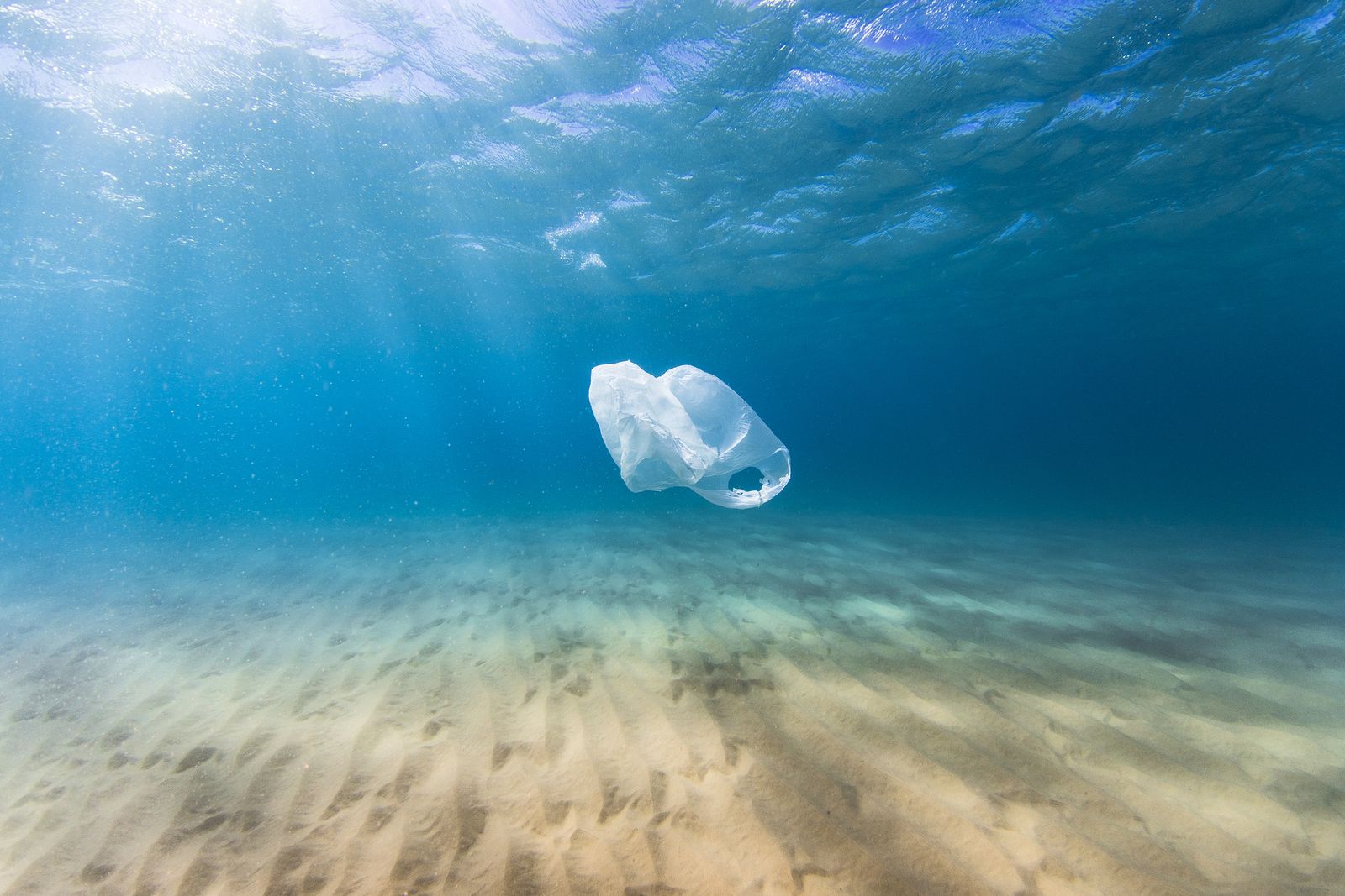bolsa de plastico