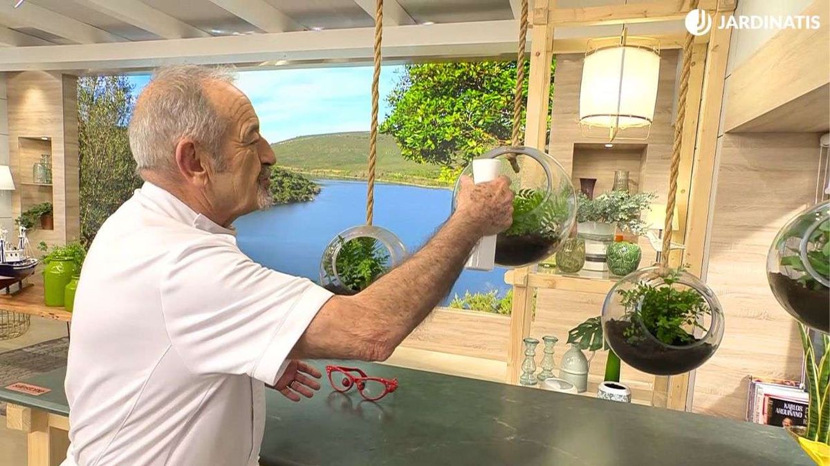 Karlos Arguiñano solo usa este tipo de agua para sus helechos