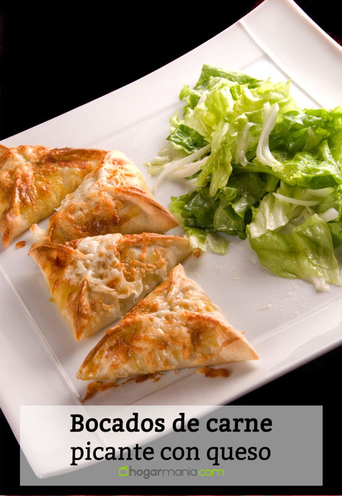 bocados carne picante queso pin