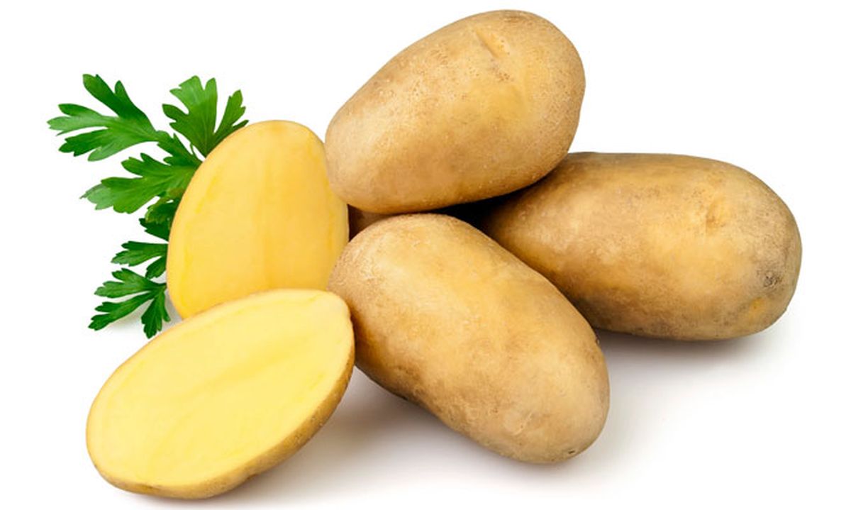 5386 nutricion ainhoa patatas xl