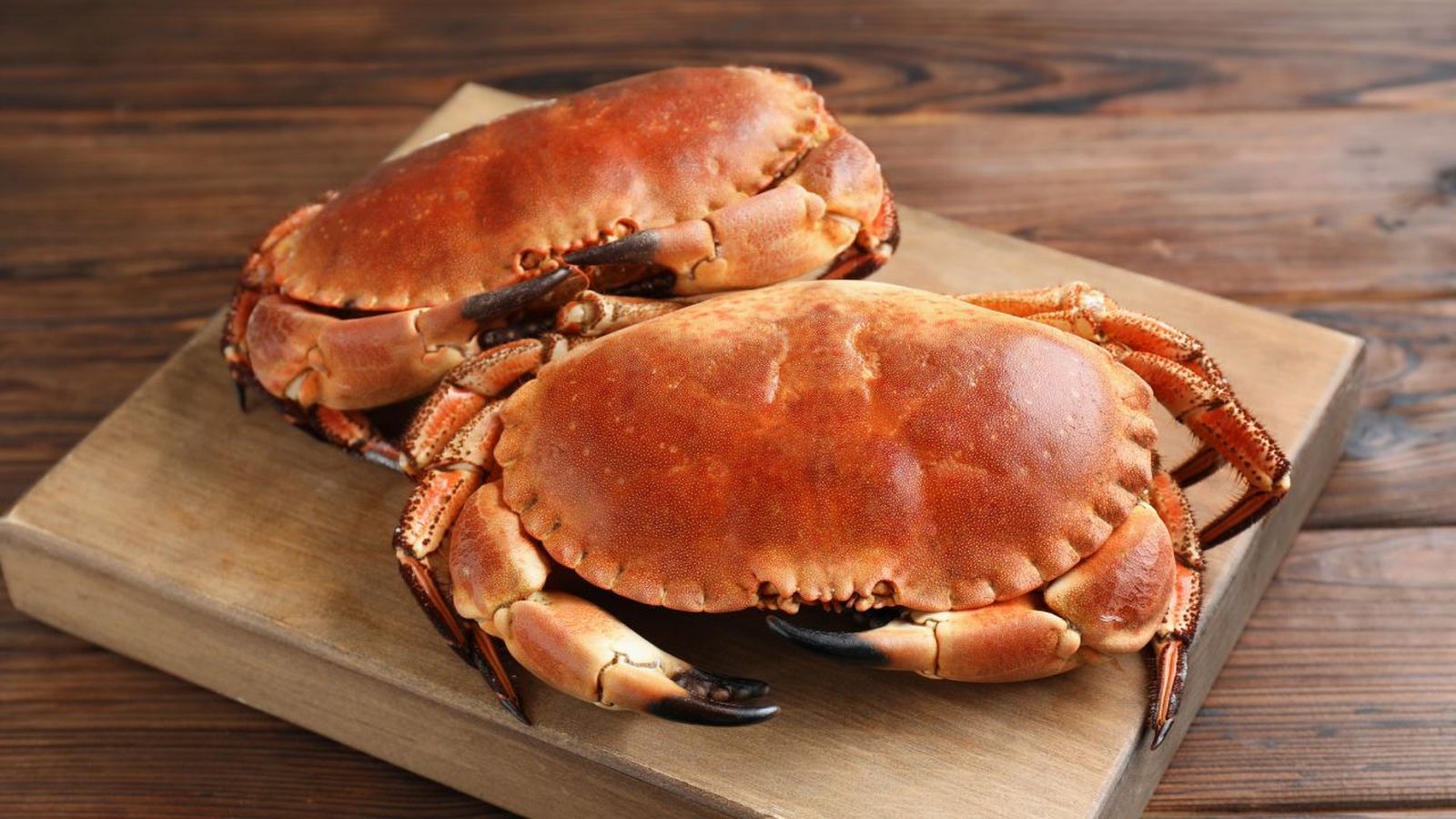 como cocer buey de mar en casa