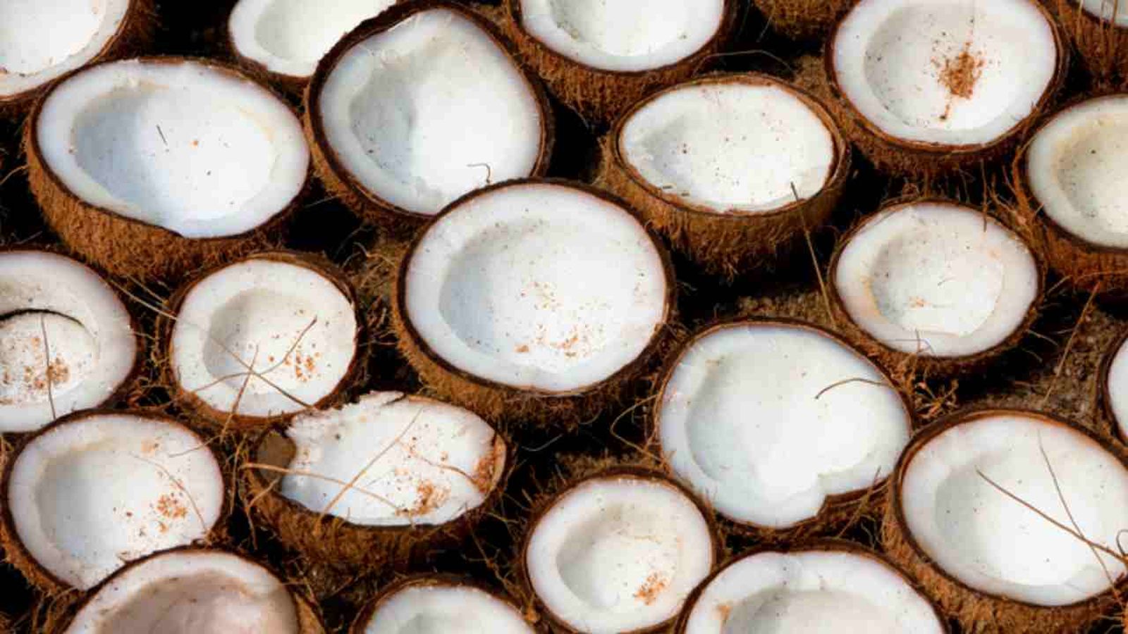 Plano detalle de cocos