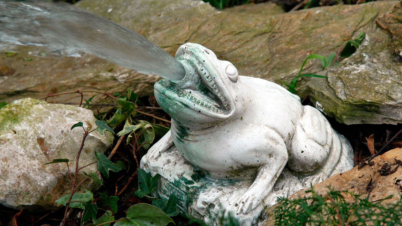 brico 0328 Arreglo fuente piedra xl