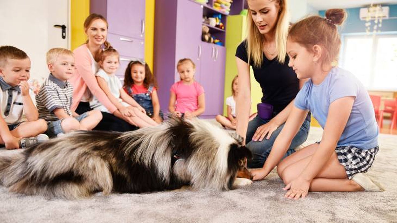 La inclusión de los animales en las escuelas conlleva beneficios y obligaciones