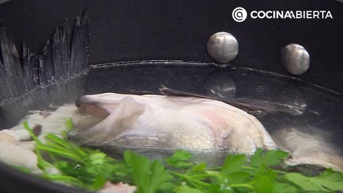 karl7122 lubina salsa p1