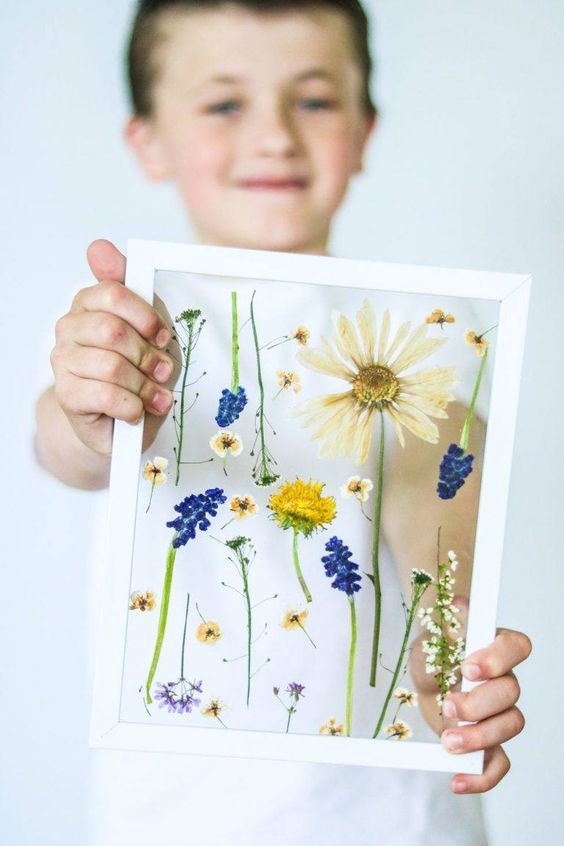 cuadro flores prensadas pinterest espacio hogar