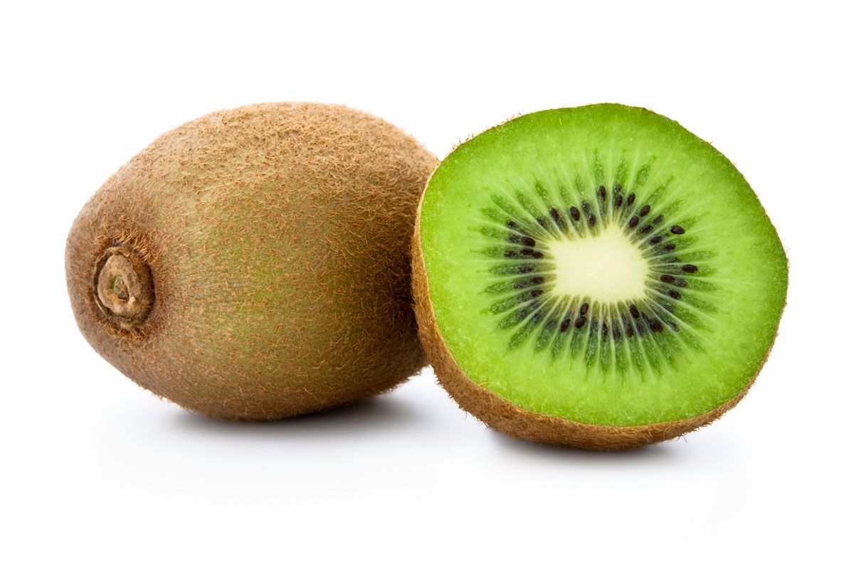 kiwi xl