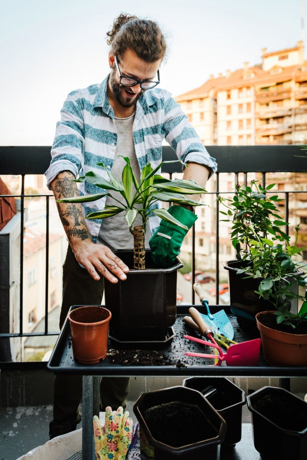 Hombre revisando sus plantas