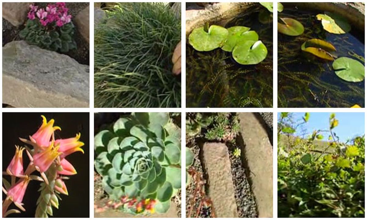 DEKO_ARTE_FLORAL001_Muro2