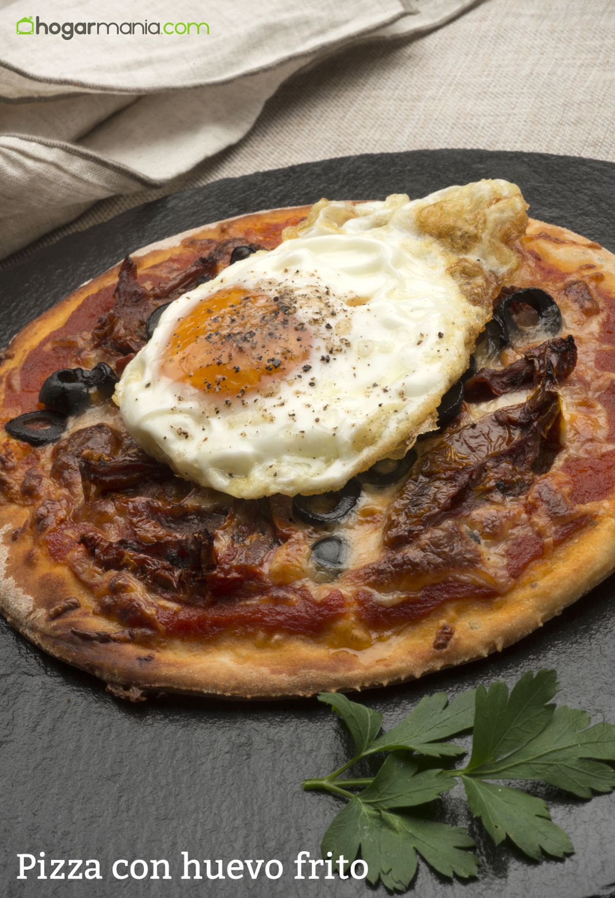 6153 1 Pizza con huevo frito vertical xl