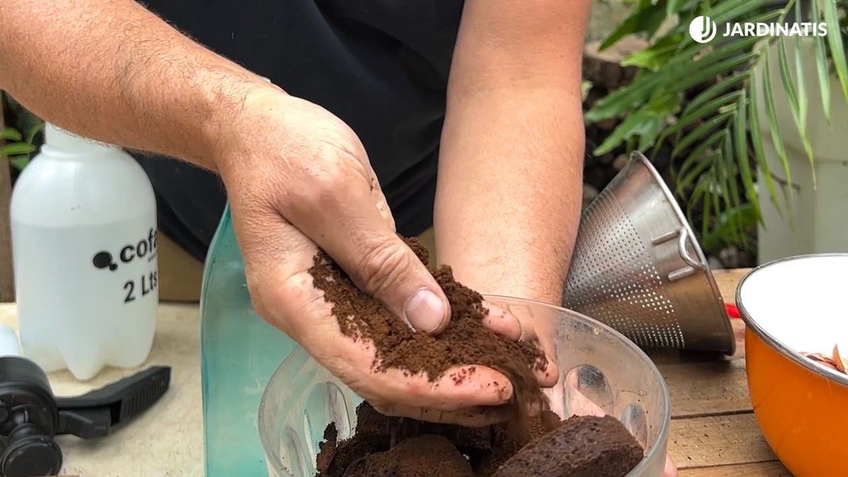 uso del cafe en las plantas jardinatis 55
