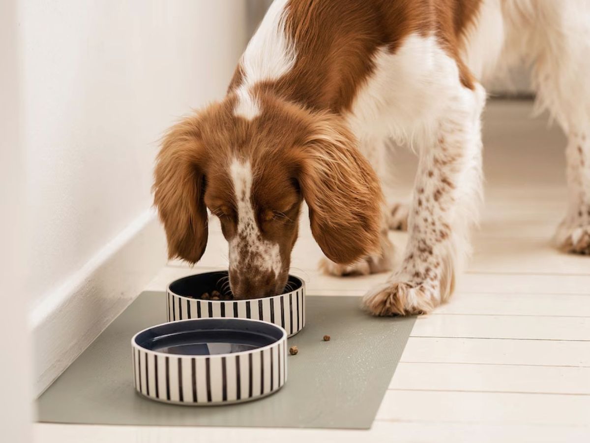 Estos cuencos son los protagonistas de este hack.