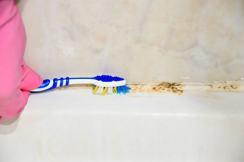 El óxido y el moho son manchas habituales en la ducha