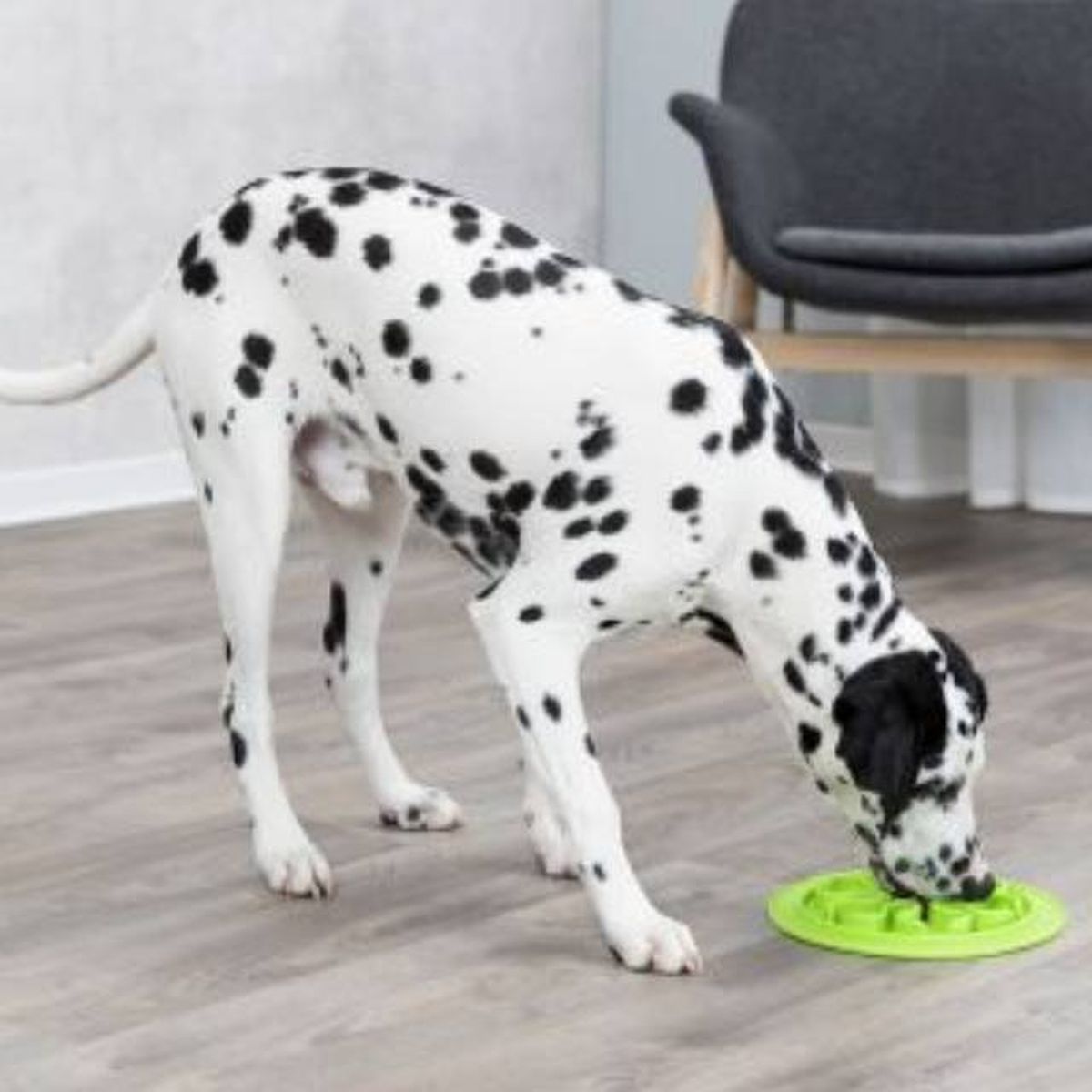 comedero lento perros antivoracidad zooplus