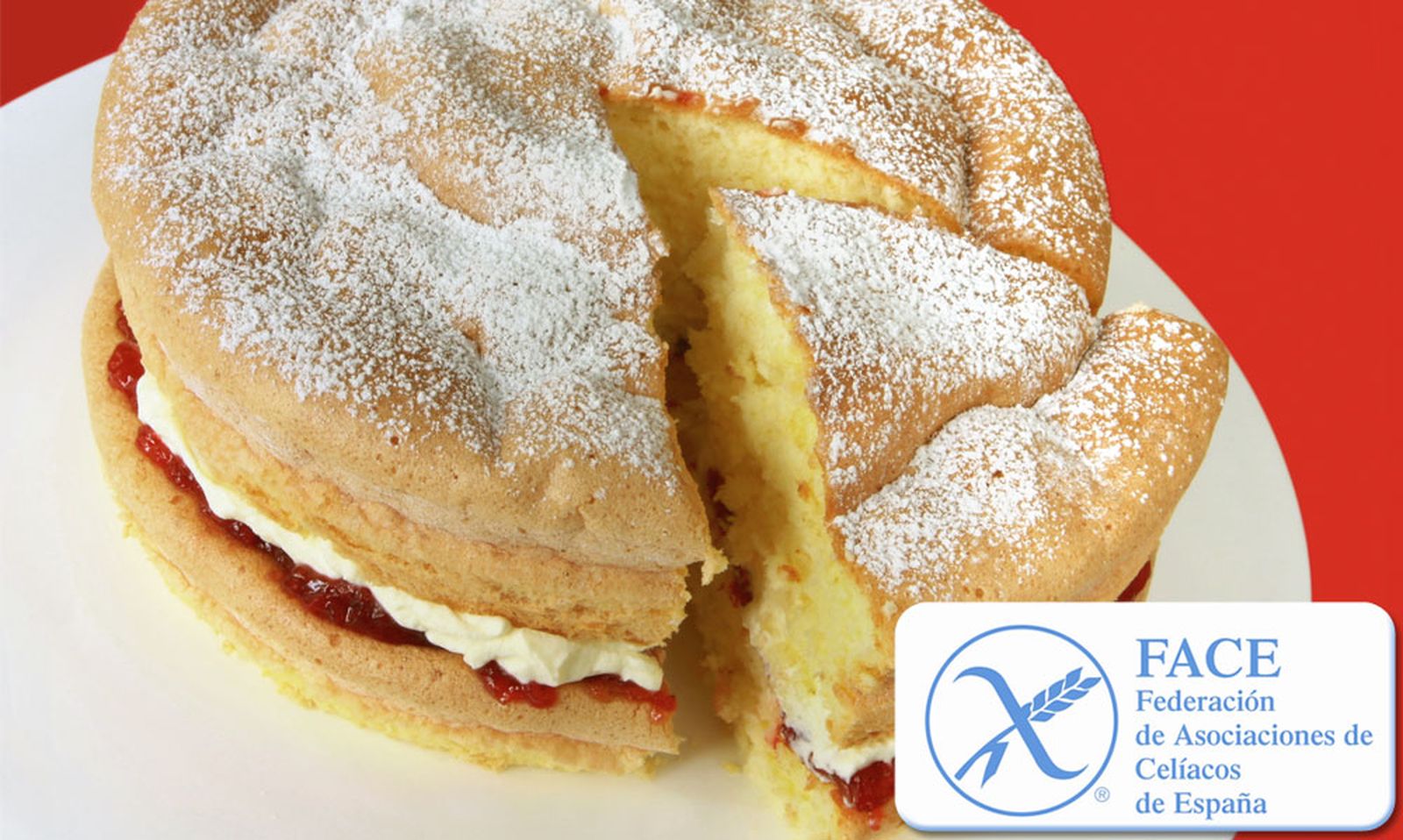 bizcocho lo que quieras xl