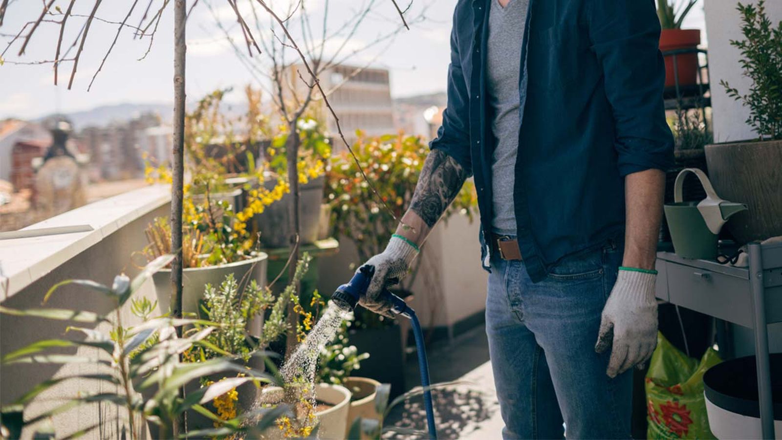 proteger plantas durante ola de calor xl