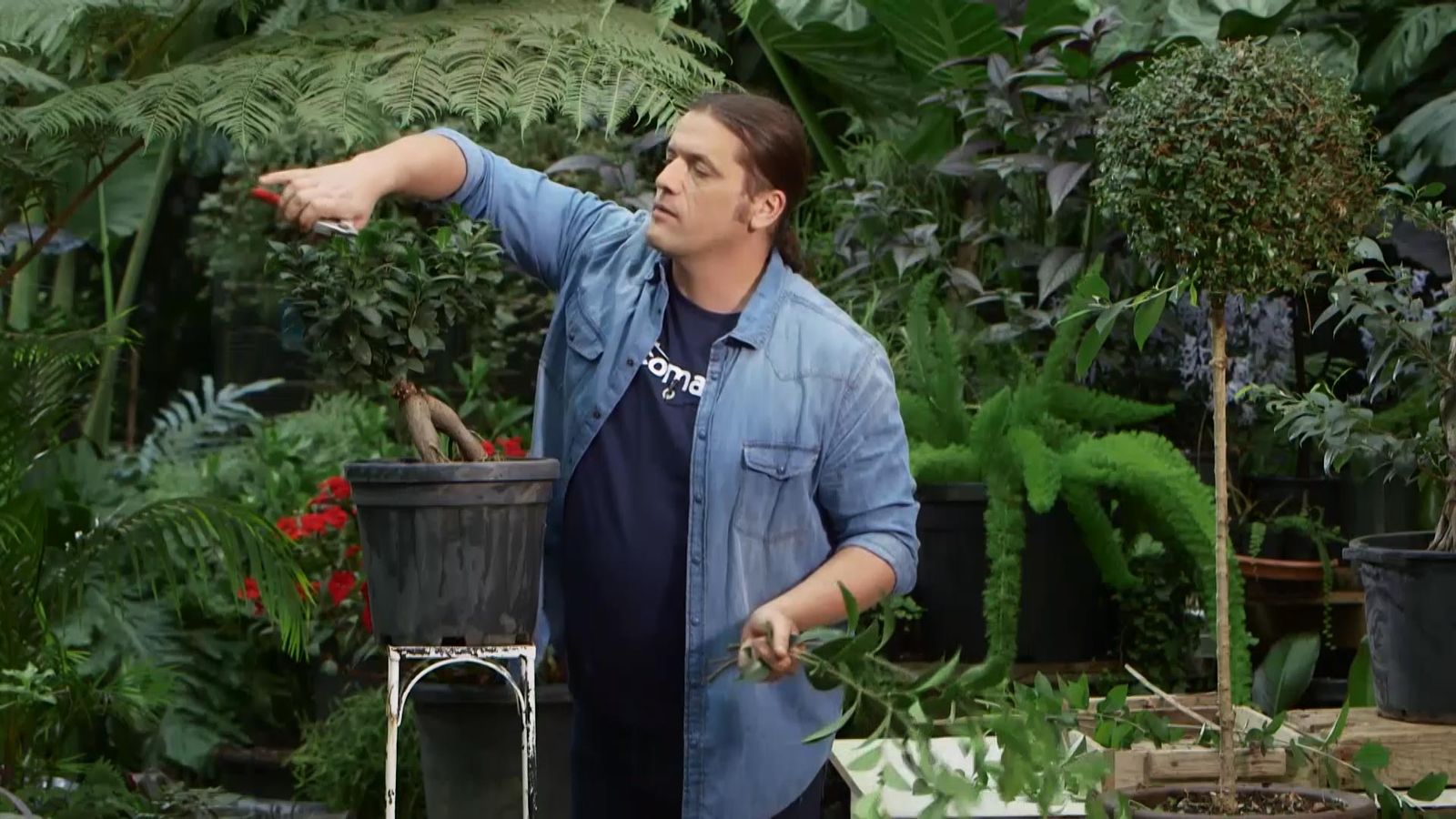 970 chupones porta injertos xl