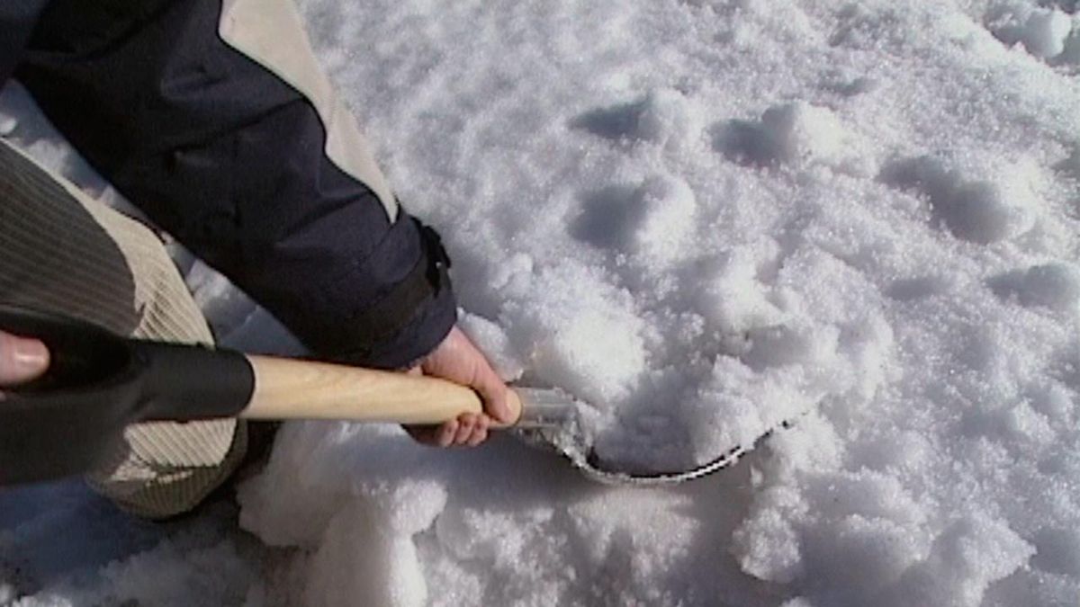 tipos de palas   pala para nieve