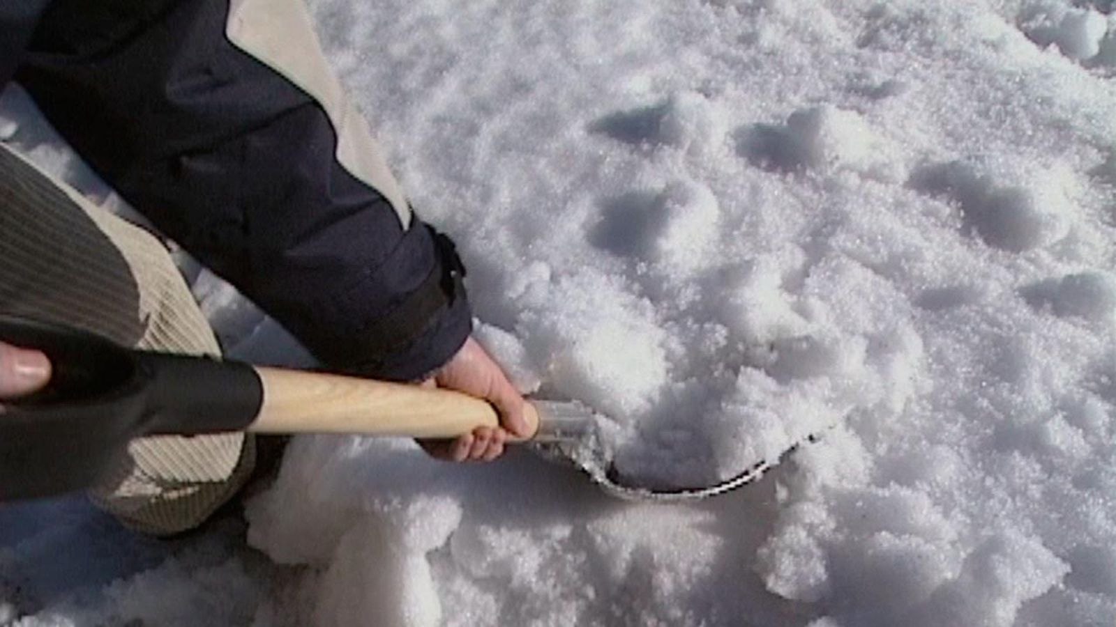 tipos de palas   pala para nieve