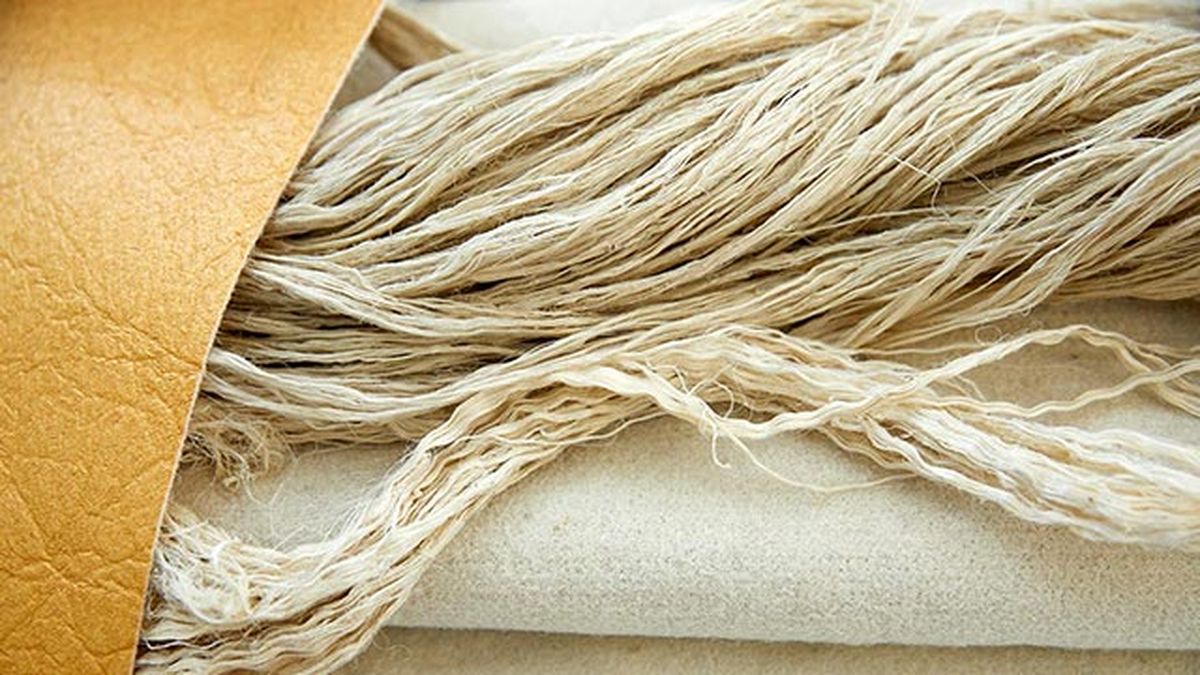 convertir las hojas de pina en una alternativa sostenible al cuero