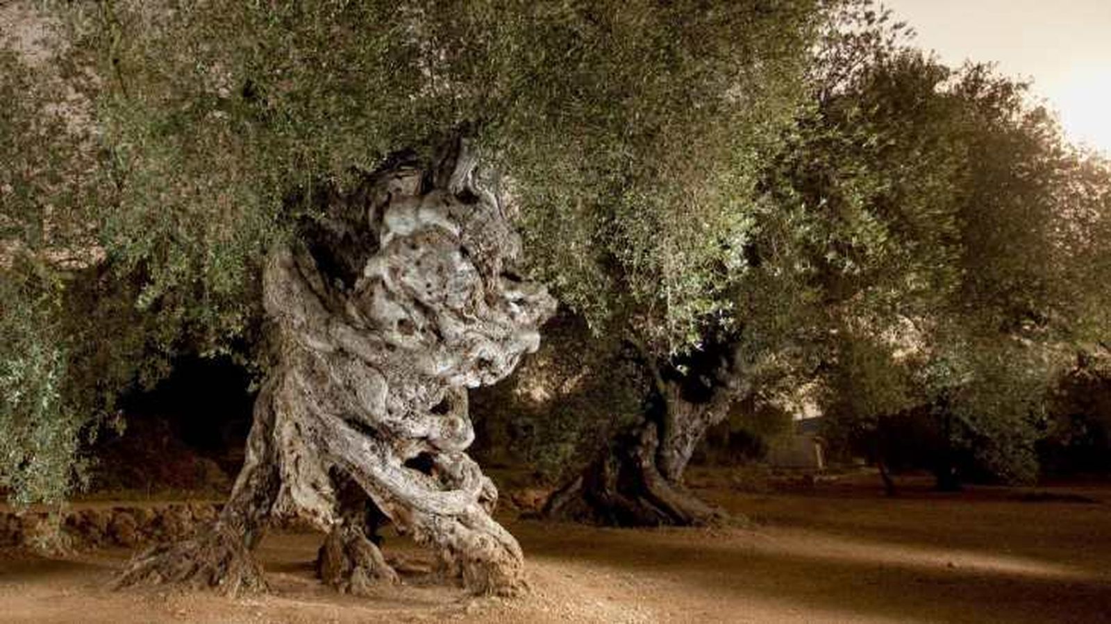 La ruta se extiende por Aragón, Cataluña y Comunidad Valenciana