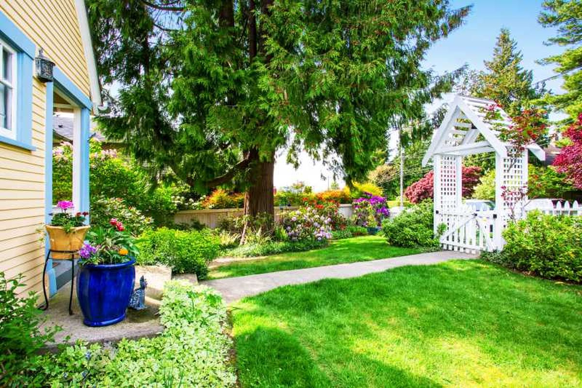 Jardín delantero pequeño con un árbol y flores.