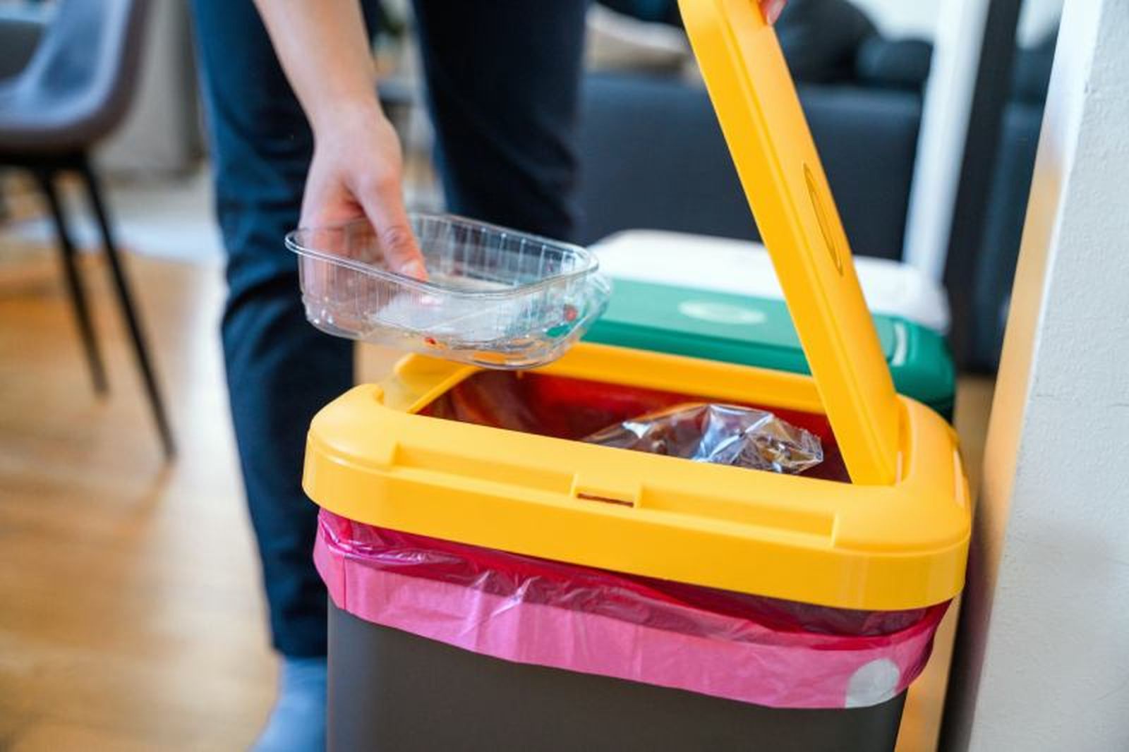 Reciclar en casa es un paso sencillo pero significativo para el planeta