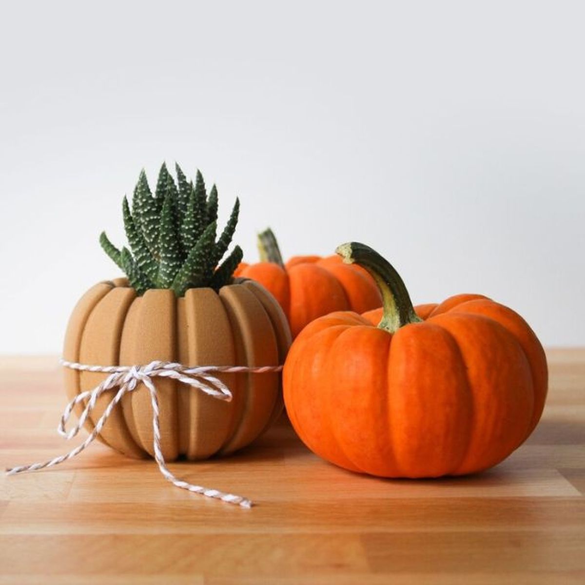 macetero forma calabaza etsy