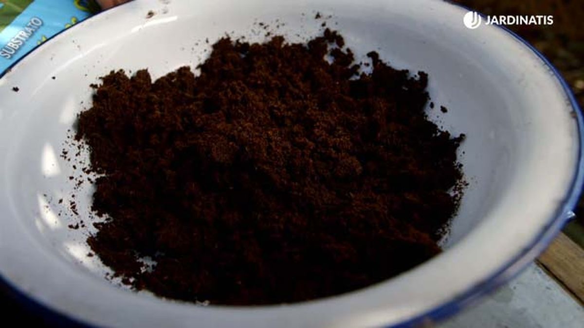 sustrato fibra de coco jardinatis brico 899