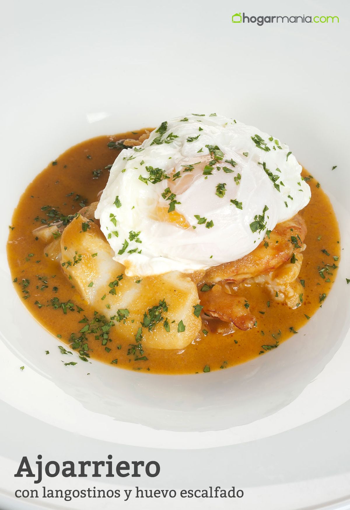 CABI0020 Josetxo Ajoarriero con langostinos y huevo escalfado vertical xl