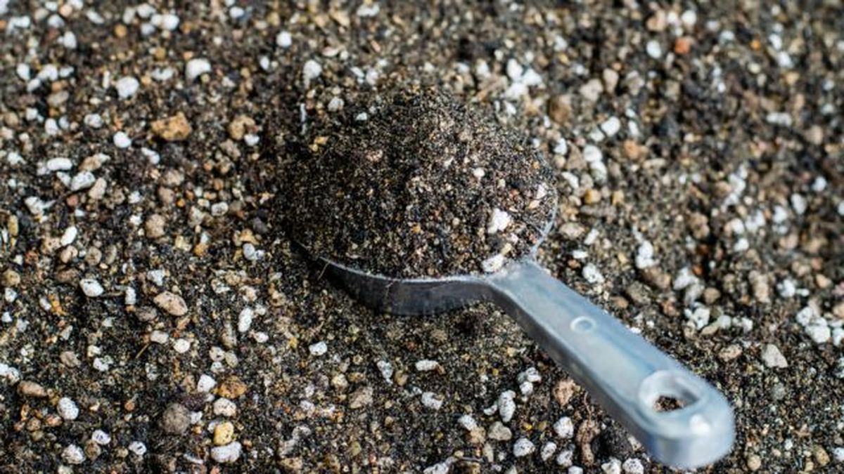 sustrato mezclado con perlita beneficios usos