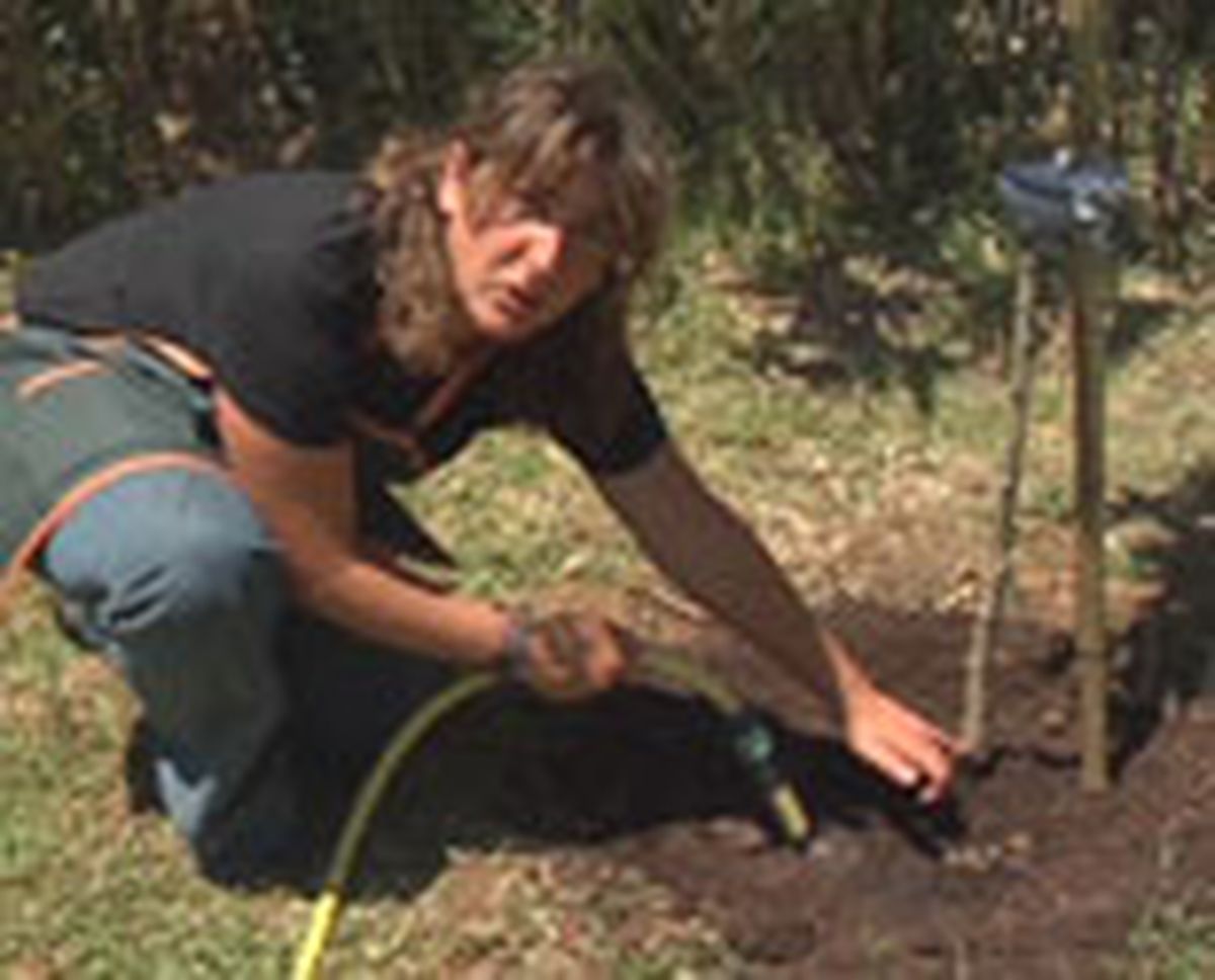 entutorar naranjo p04