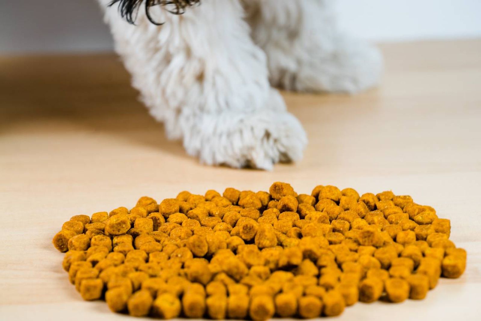 Los contenedores de pienso se han convertido en un accesorio indispensable.