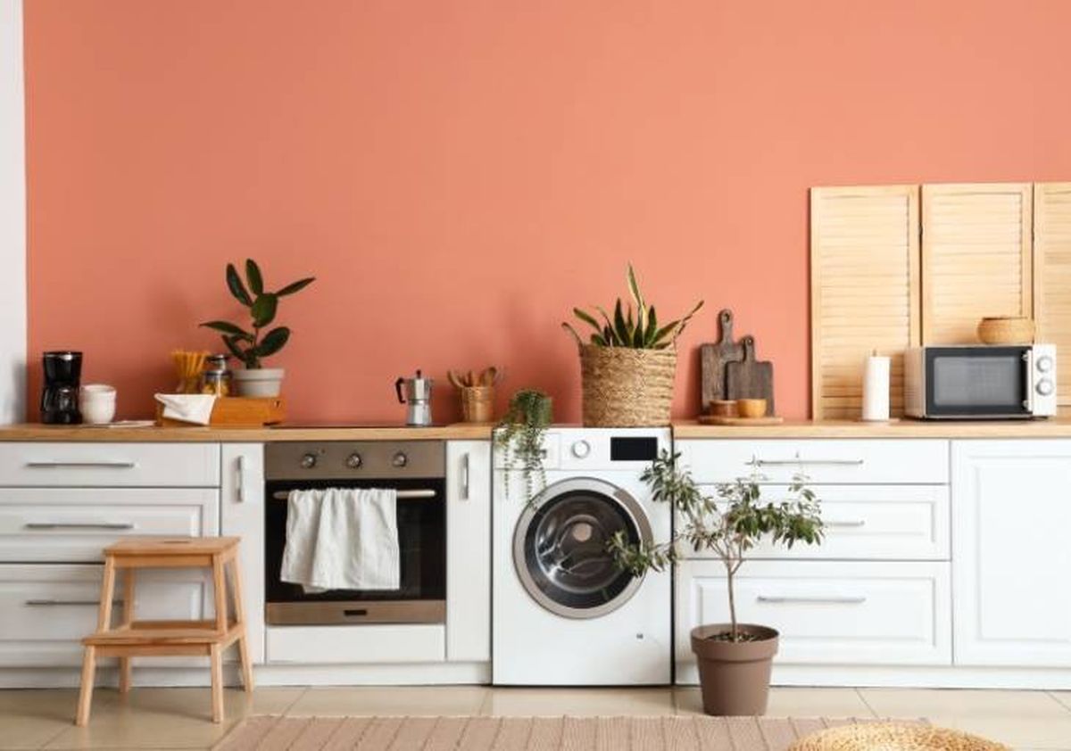 El color del año Pantone 2024 Peach Fuzz 7