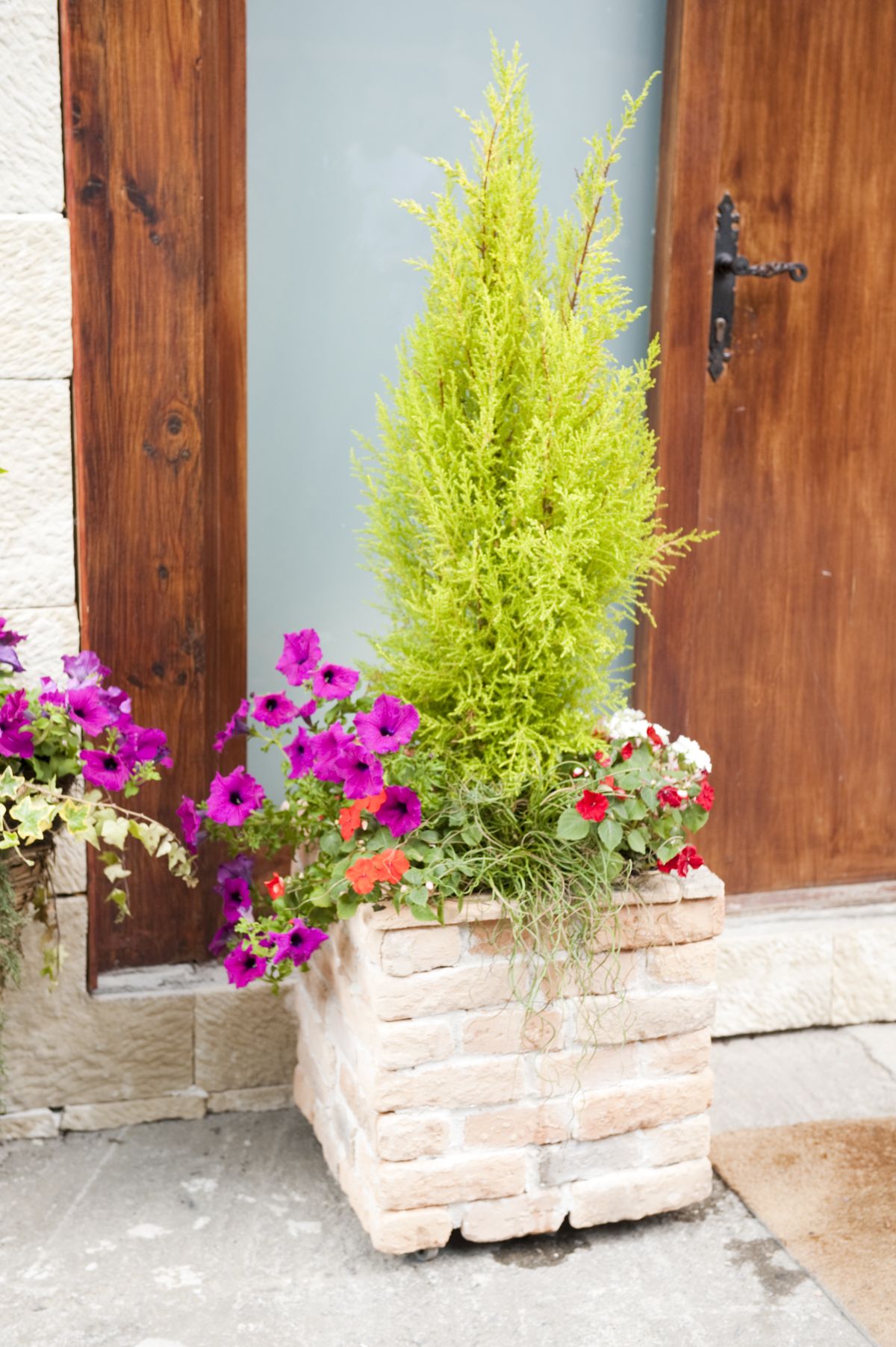 568   Revestir macetas   paso 10