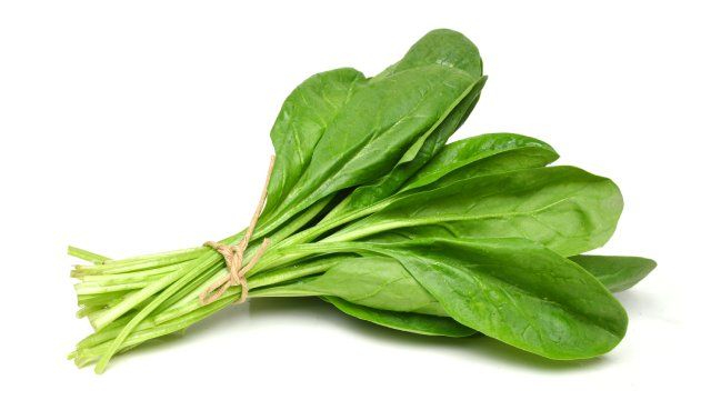 que verduras pueden comer los perros espinacas