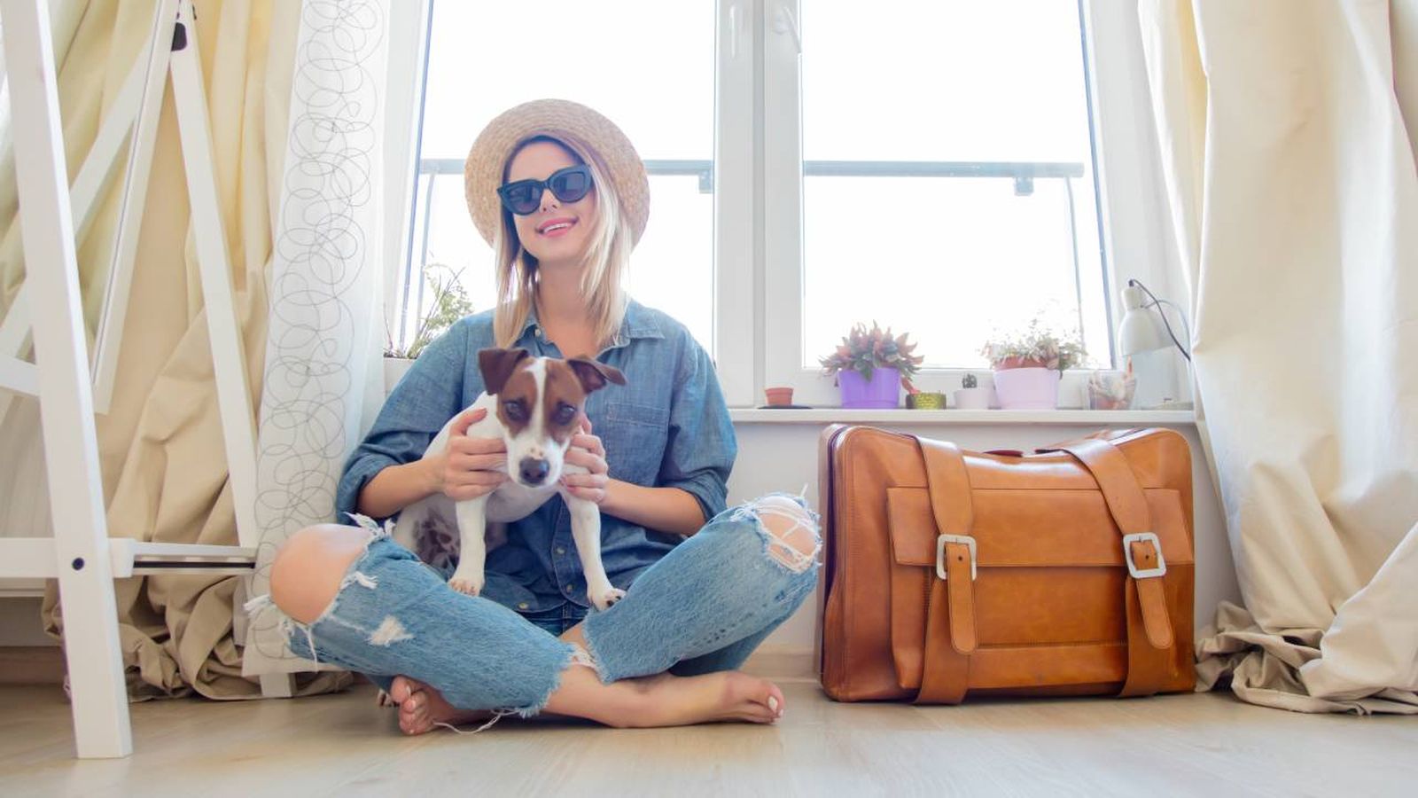 pet sitting viajar cuidando mascotas con alojamiento gratis